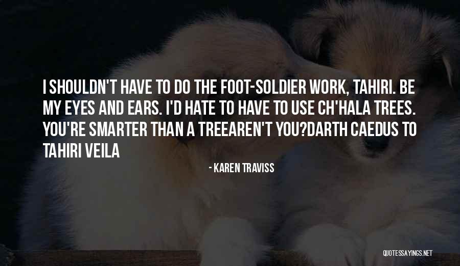 Foot Soldier Quotes By Karen Traviss