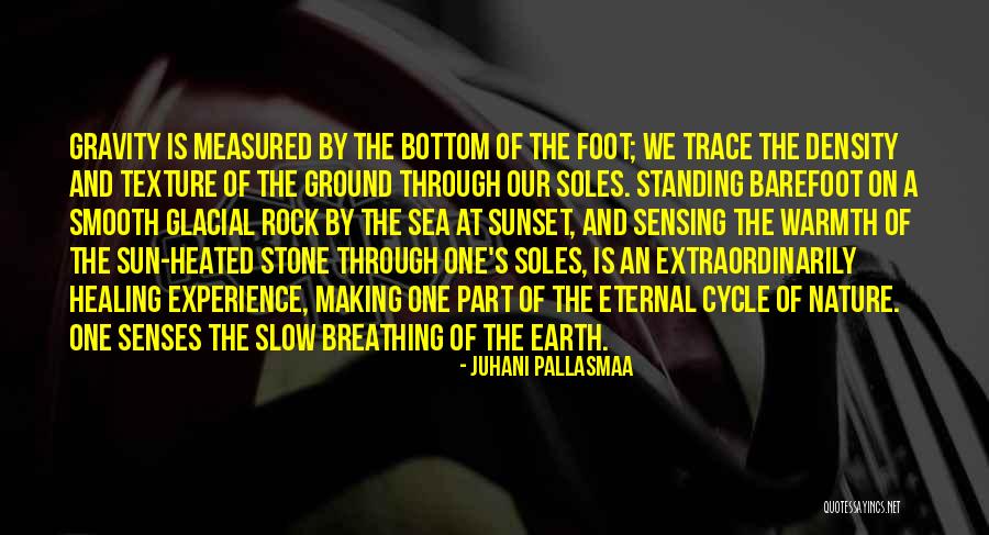 Foot Stone Quotes By Juhani Pallasmaa