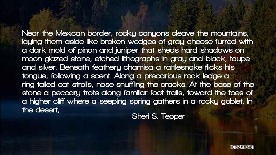 Foot Stone Quotes By Sheri S. Tepper Foot Stone Quotes By Sheri S. Tepper