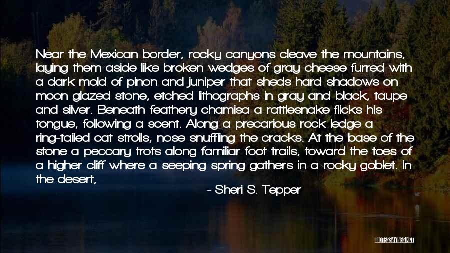 Foot Stone Quotes By Sheri S. Tepper