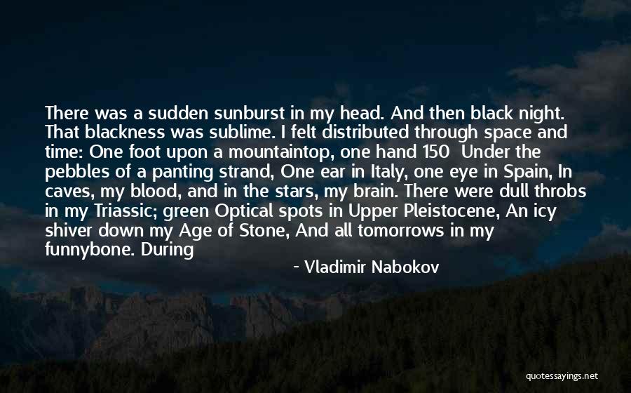 Foot Stone Quotes By Vladimir Nabokov