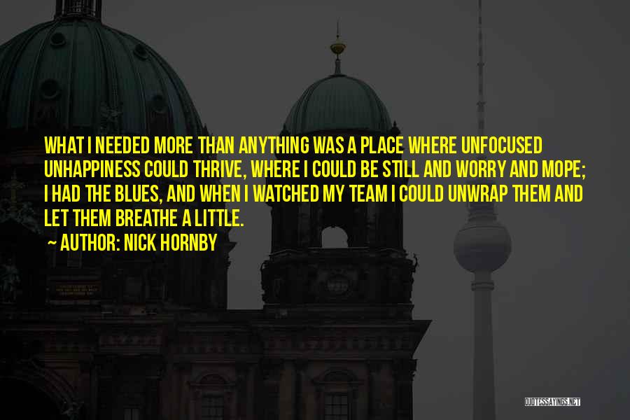 Football Fever Quotes By Nick Hornby