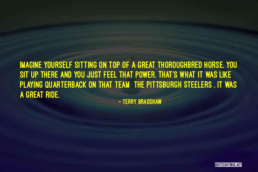 Football Playing Quotes By Terry Bradshaw