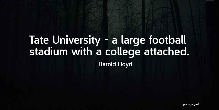 Football Stadium Quotes By Harold Lloyd