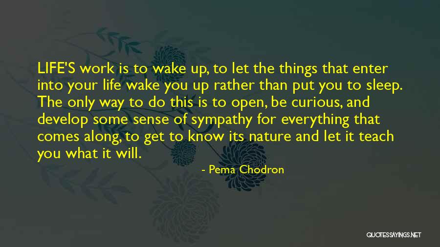 Footennis Quotes By Pema Chodron Footennis Quotes By Pema Chodron