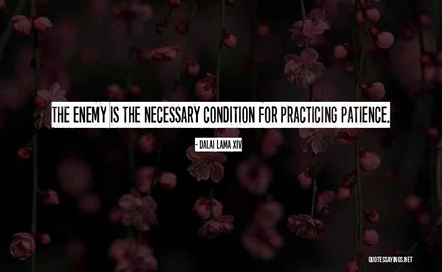 Footing Drains Quotes By Dalai Lama XIV Footing Drains Quotes By Dalai Lama XIV