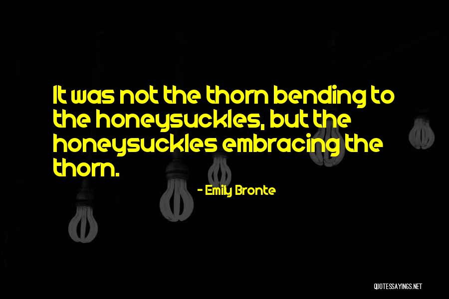Footings For Decks Quotes By Emily Bronte Footings For Decks Quotes By Emily Bronte