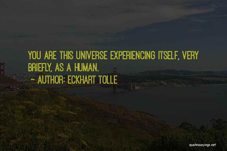 Footling Prize Quotes By Eckhart Tolle