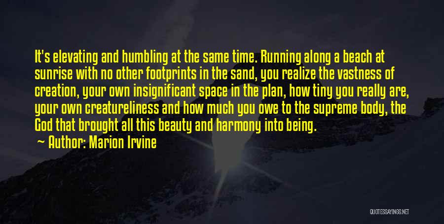 Footprints In Sand Quotes By Marion Irvine