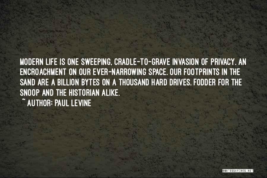 Footprints In Sand Quotes By Paul Levine