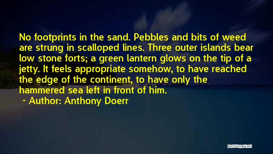 Footprints In The Sand Quotes By Anthony Doerr