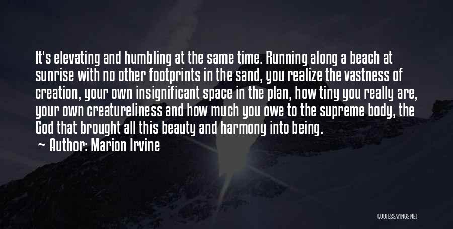 Footprints In The Sand Quotes By Marion Irvine