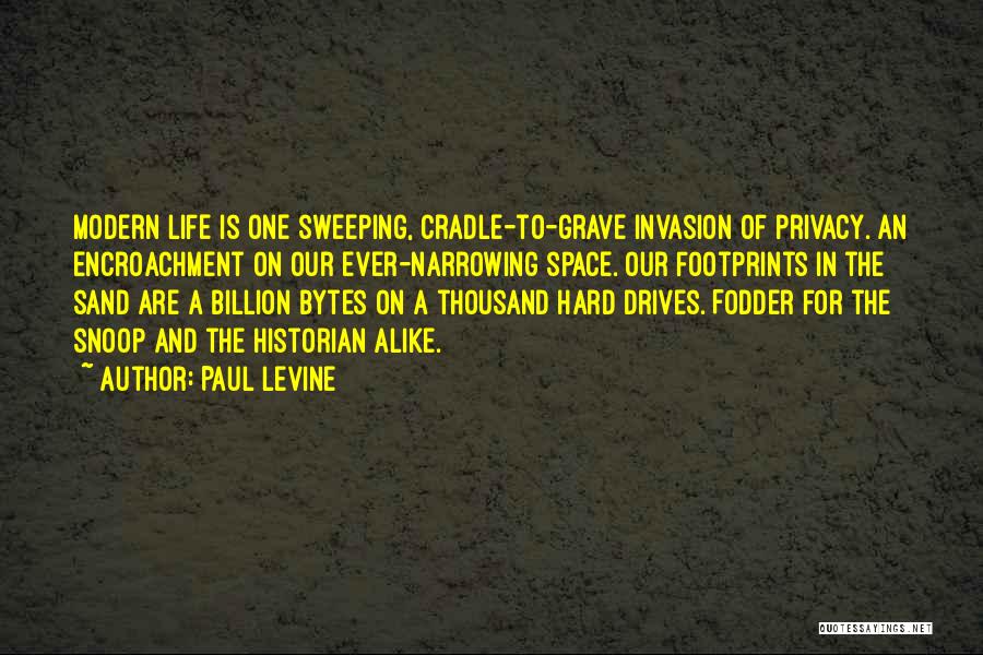Footprints In The Sand Quotes By Paul Levine