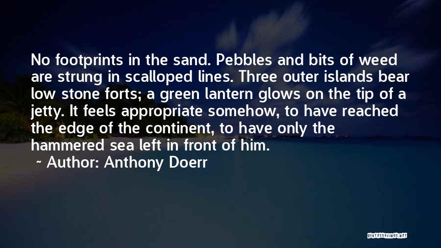 Footprints On Sand Quotes By Anthony Doerr