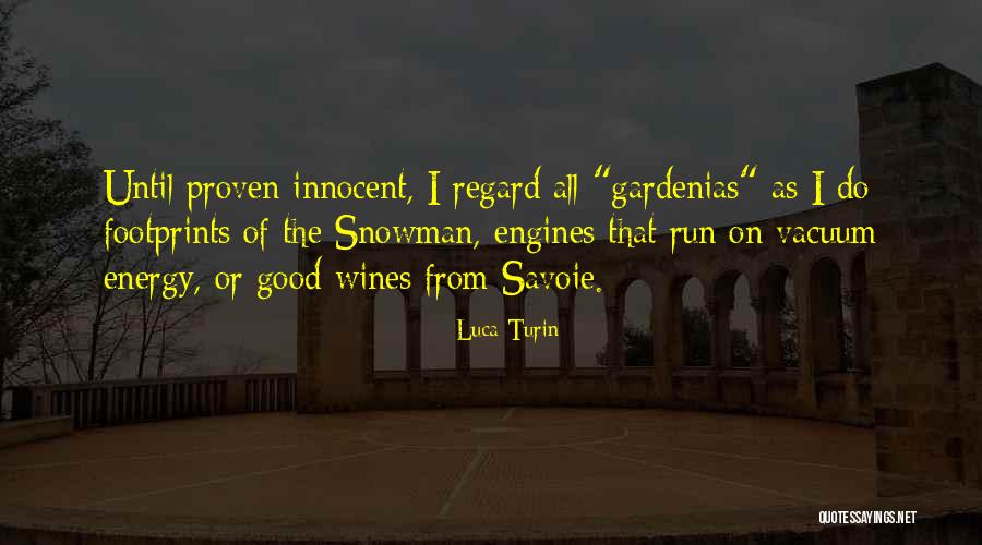 Footprints Quotes By Luca Turin