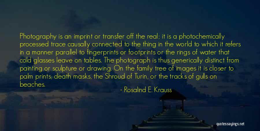 Footprints Quotes By Rosalind E. Krauss