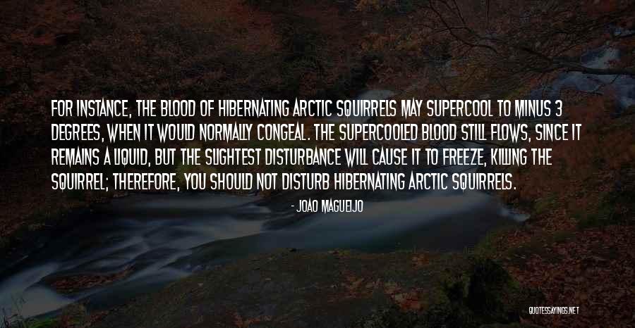 Footsore North Quotes By Joao Magueijo Footsore North Quotes By Joao Magueijo