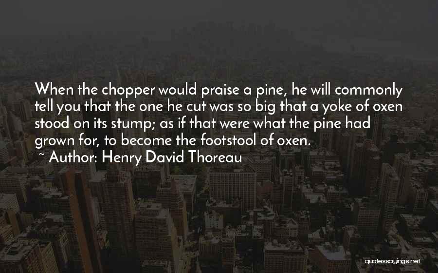 Footstool Quotes By Henry David Thoreau