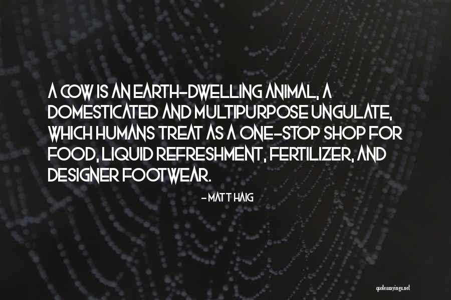 Footwear Quotes By Matt Haig