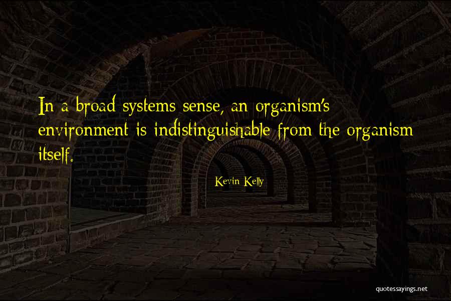 Footwell In Car Quotes By Kevin Kelly Footwell In Car Quotes By Kevin Kelly