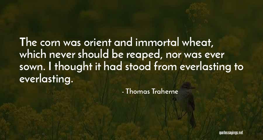 For A Few To Be Immortal Quote Quotes By Thomas Traherne