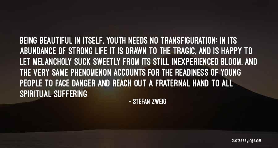 For Beautiful Face Quotes By Stefan Zweig