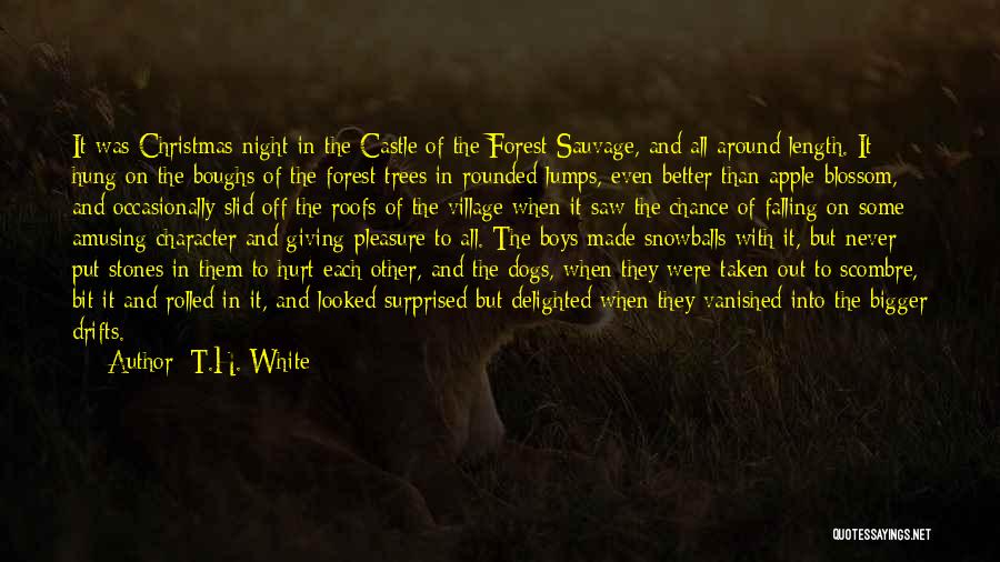 For Beautiful Face Quotes By T.H. White For Beautiful Face Quotes By T.H. White