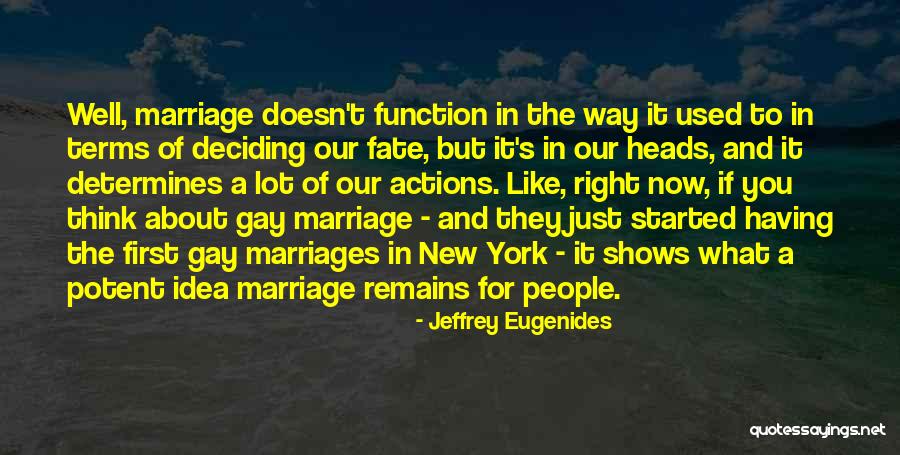 For Gay Marriage Quotes By Jeffrey Eugenides