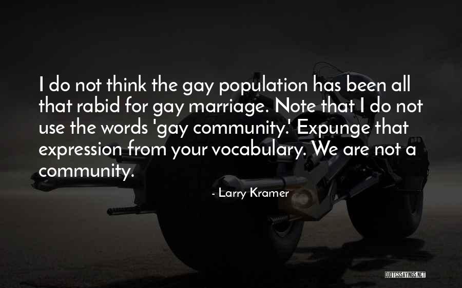 For Gay Marriage Quotes By Larry Kramer