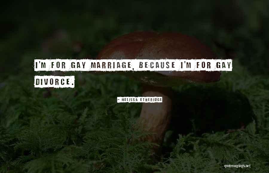 For Gay Marriage Quotes By Melissa Etheridge