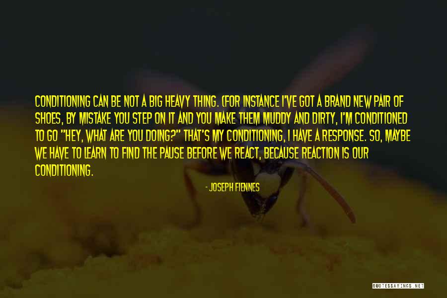 For Joseph Quotes By Joseph Fiennes
