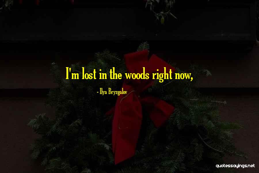 For Lost In The Woods Quotes By Ilya Bryzgalov For Lost In The Woods Quotes By Ilya Bryzgalov