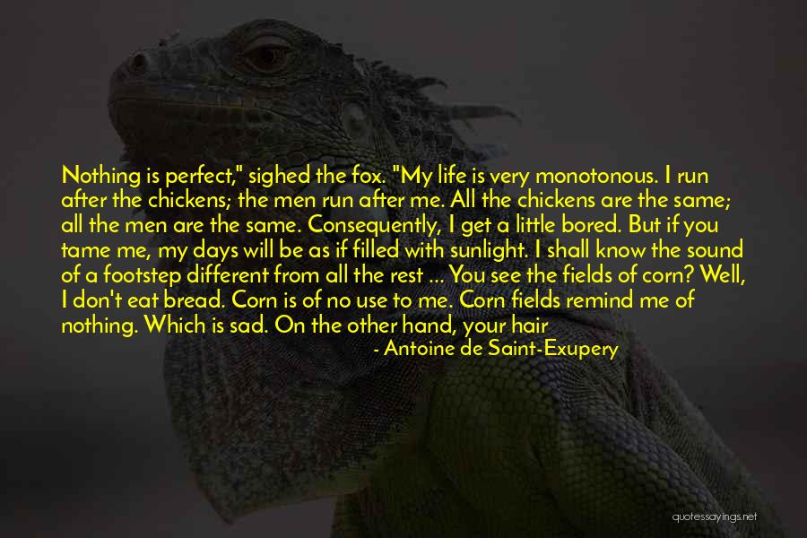 For Me You Are Perfect Quotes By Antoine De Saint-Exupery