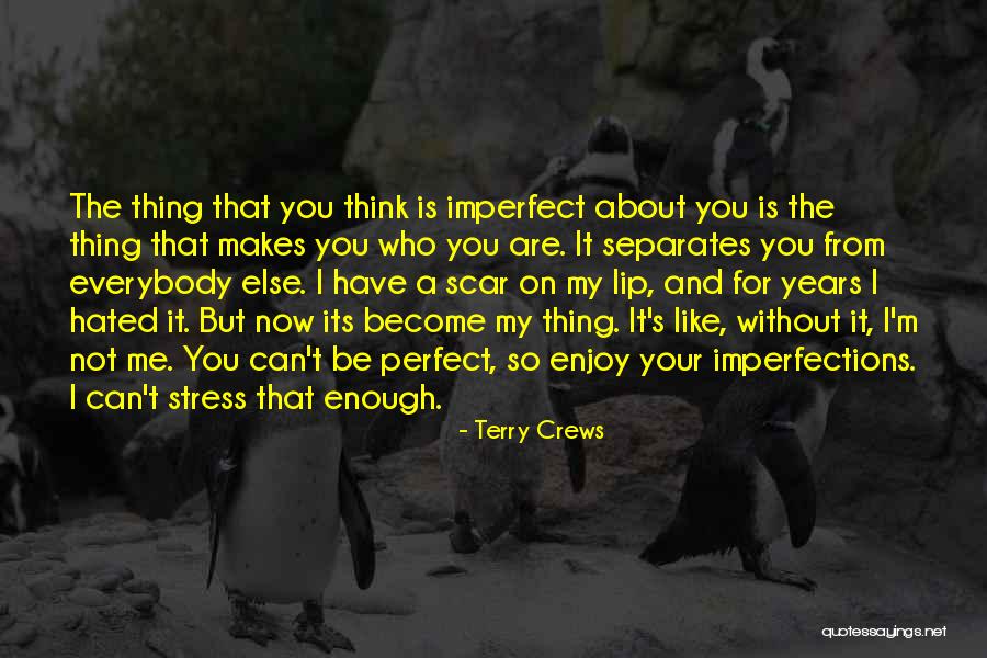 For Me You Are Perfect Quotes By Terry Crews