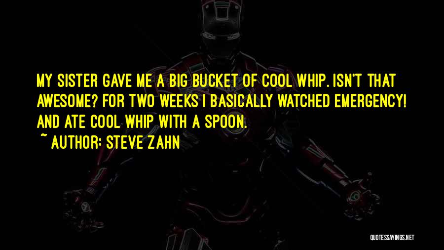 For My Big Sister Quotes By Steve Zahn