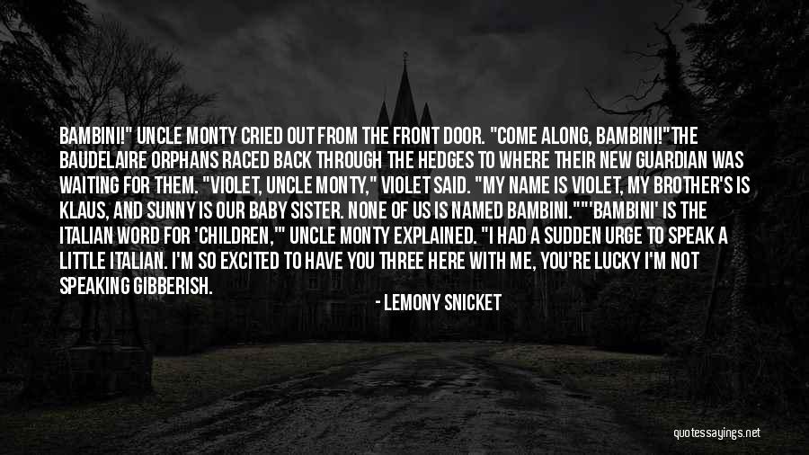 For My Sister Quotes By Lemony Snicket