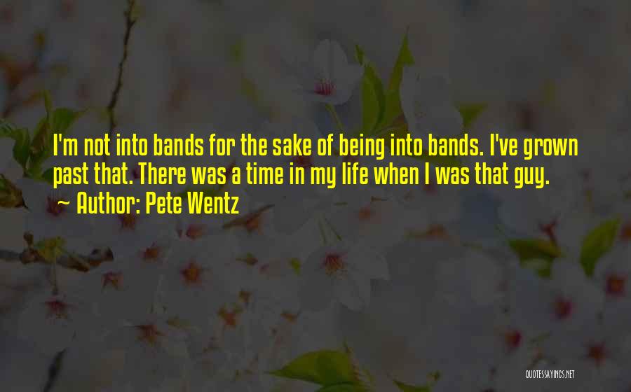 For Pete's Sake Quotes By Pete Wentz
