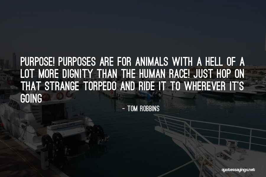 For Ride Quotes By Tom Robbins For Ride Quotes By Tom Robbins