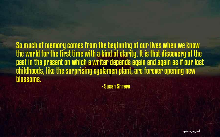 For The Beginning Writer Quotes By Susan Shreve For The Beginning Writer Quotes By Susan Shreve
