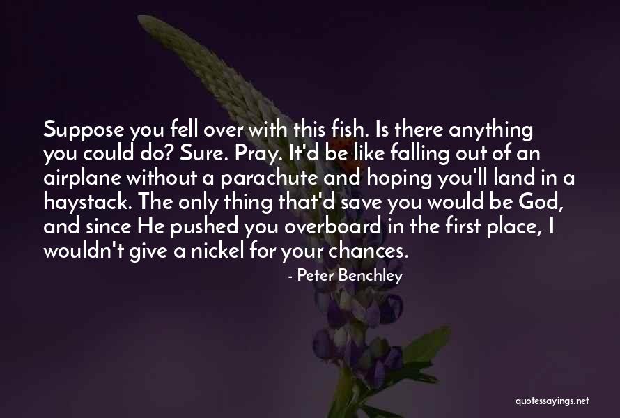 For You I Would Do Anything Quotes By Peter Benchley