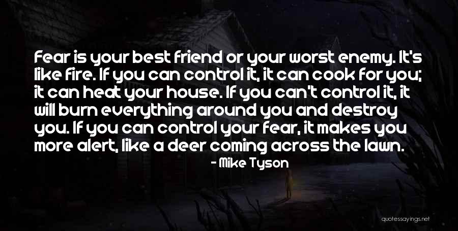 For Your Best Friend Quotes By Mike Tyson