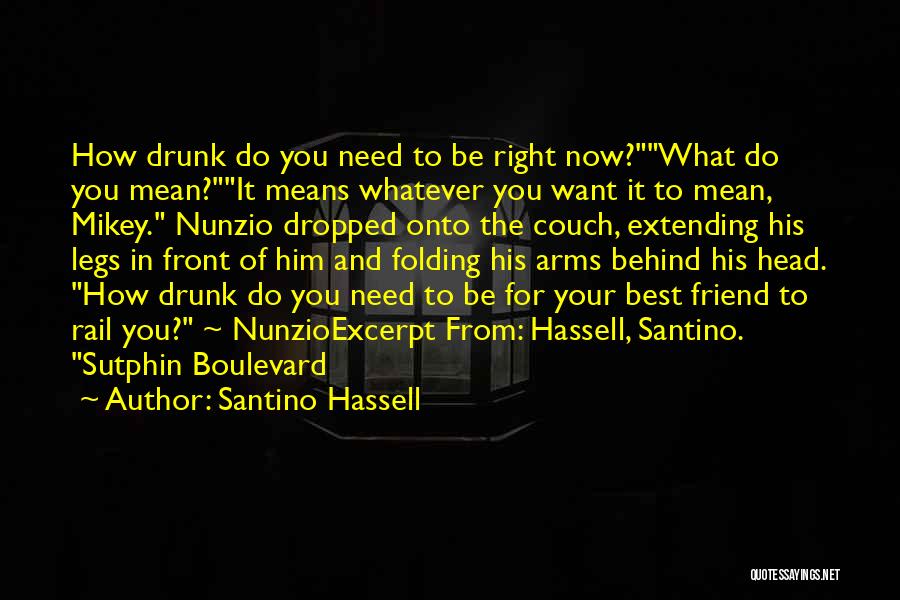For Your Best Friend Quotes By Santino Hassell