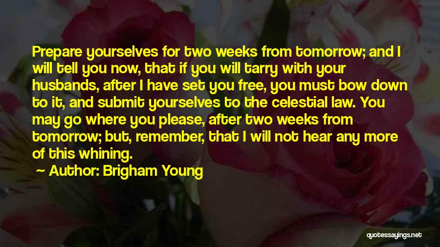 For Your Husband Quotes By Brigham Young