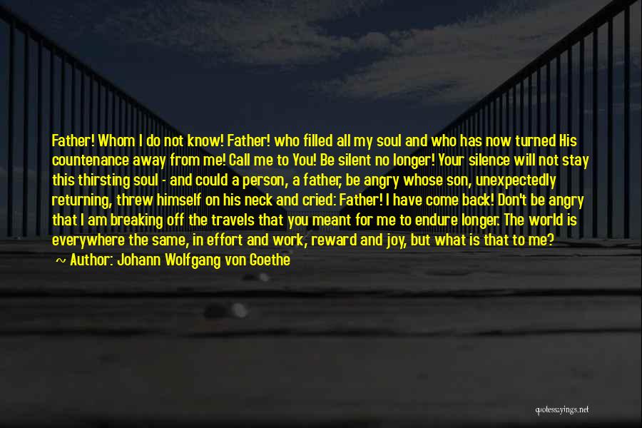 For Your Son Quotes By Johann Wolfgang Von Goethe