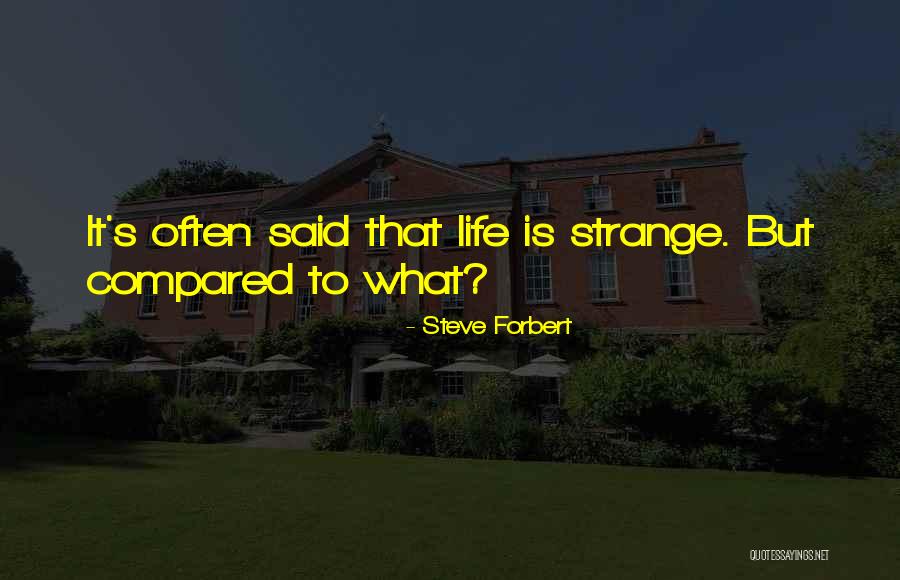 Forbert Steve Quotes By Steve Forbert Forbert Steve Quotes By Steve Forbert