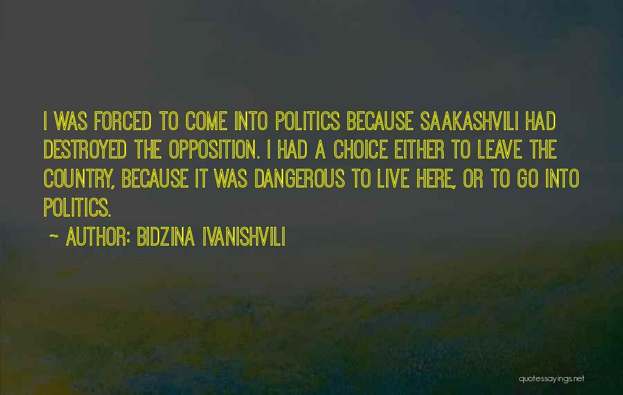 Forced To Leave Quotes By Bidzina Ivanishvili