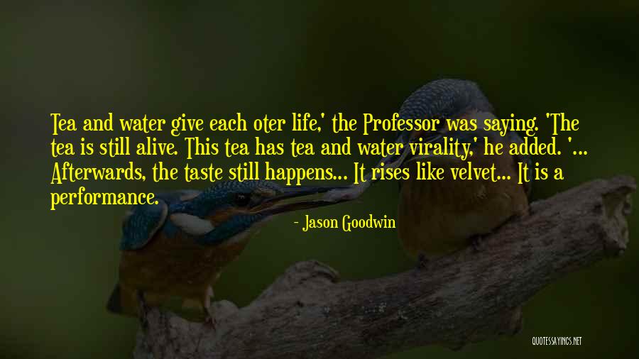 Forebode Define Quotes By Jason Goodwin Forebode Define Quotes By Jason Goodwin