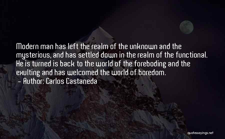 Foreboding Quotes By Carlos Castaneda