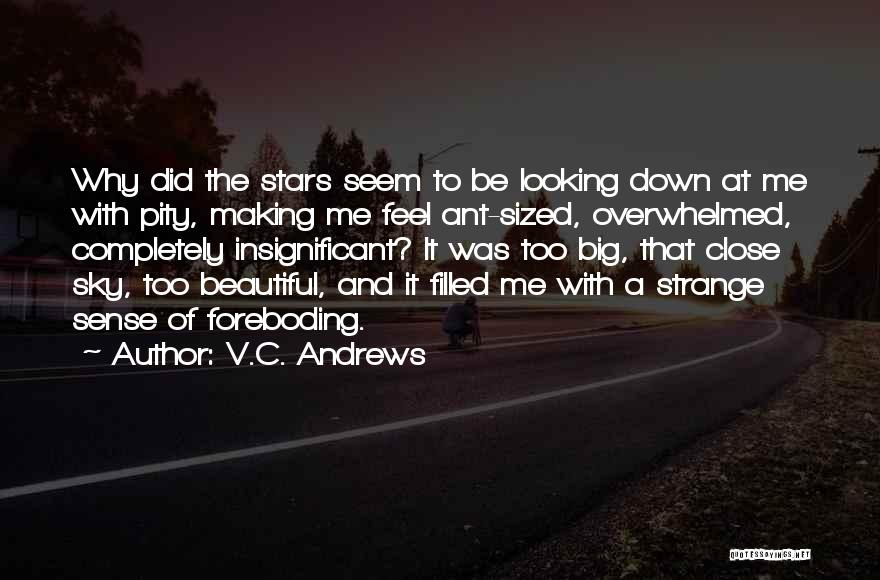 Foreboding Quotes By V.C. Andrews