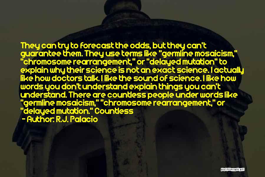 Forecast Quotes By R.J. Palacio